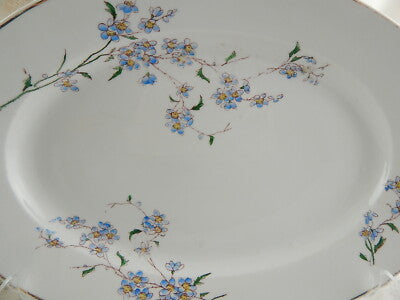 ART NOUVEAU ANTICO PIATTO OVALE VASSOIO CERAMICA RICHARD NON TI SCORDAR DI ME#