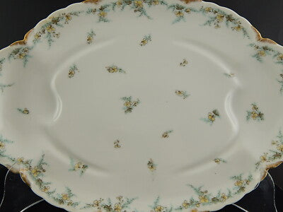 ANTICO RARO VASSOIO ARROSTO PORCELLANA FORMA AMERICA GINORI DOCCIA ETA' LIBERTY