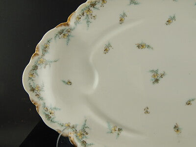 ANTICO RARO VASSOIO ARROSTO PORCELLANA FORMA AMERICA GINORI DOCCIA ETA' LIBERTY