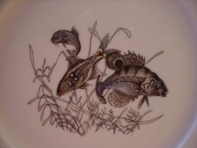 BAVARIA WINTERLING - PIATTO IN PORCELLANA SERIE PESCI #3