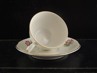 VINTAGE ELEGANTE SET 6 TAZZINE CAFFÈ PORCELLANA RICHARD GINORI ROSA CANINA