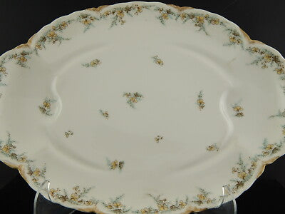 ANTICO RARO VASSOIO ARROSTO PORCELLANA FORMA AMERICA GINORI DOCCIA EPOCA LIBERTY