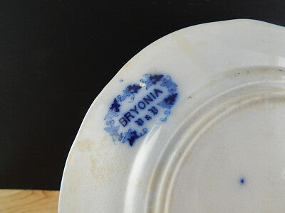 ANTICO PIATTO PIANO VILLEROY&BOCH BRYONIA PORCELLANA ART NOUVEAU 800 #21