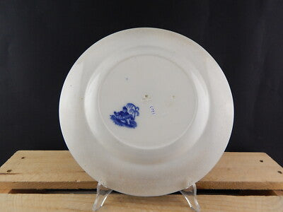 ANTICO RARO PIATTO PORCELLANA MINTON DEL1830 STAFFORDSHIRE DECORO ANEMONE #3703