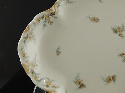 ANTICO PIATTO OVALE VASSOIO PORCELLANA FORMA AMERICA GINORI DOCCIA EPOCA LIBERTY