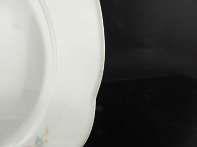 ANTICO SET 8 PIATTI PORCELLANA GINORI DOCCIA LIBERTY F.LLI FINOCCHI ROMA DIFETTI