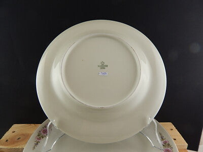 PREZIOSO VINTAGE SERVIZIO TAVOLA 10 PIATTI PIANI PORCELLANA SCHERZER BAVARIA