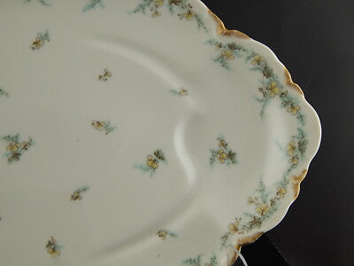 ANTICO RARO VASSOIO ARROSTO PORCELLANA FORMA AMERICA GINORI DOCCIA ETA' LIBERTY