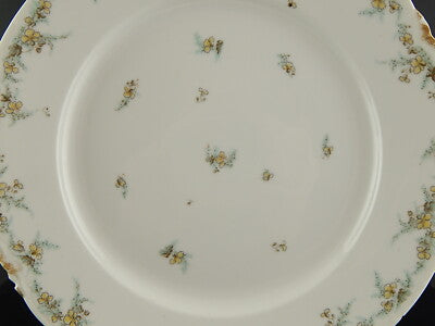 ANTICO PIATTO CM 35 PORCELLANA FORMA AMERICA GINORI DOCCIA ETA' LIBERTY DIFETTO