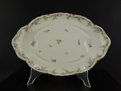 ANTICO RARO VASSOIO ARROSTO PORCELLANA FORMA AMERICA GINORI DOCCIA EPOCA LIBERTY