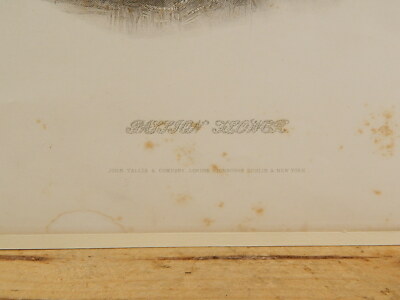 ANTICA STAMPA INCISIONE XIX SECOLO JOHN TALLIS & COMPANY LONDON PASSION FLOWER