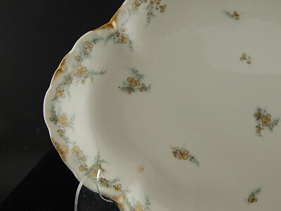 ANTICO PIATTO OVALE VASSOIO PORCELLANA FORMA AMERICA GINORI DOCCIA ETA' LIBERTY