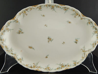 ANTICO PIATTO OVALE VASSOIO PORCELLANA FORMA AMERICA GINORI DOCCIA ETA' LIBERTY