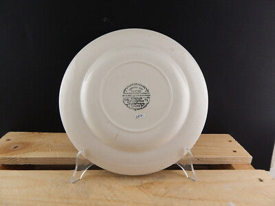 VINTAGE PIATTO CERAMICA STAMPA A MANO ENGLISH IRONSTONE TABLEWARE