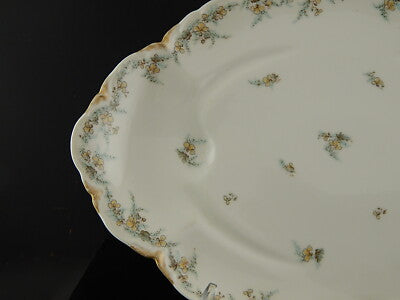 ANTICO RARO VASSOIO ARROSTO PORCELLANA FORMA AMERICA GINORI DOCCIA EPOCA LIBERTY