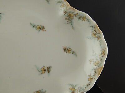 ANTICO PIATTO OVALE VASSOIO PORCELLANA FORMA AMERICA GINORI DOCCIA EPOCA LIBERTY