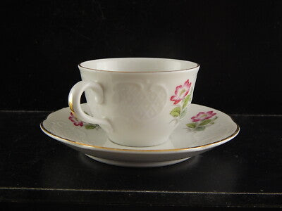 VINTAGE ELEGANTE SET 6 TAZZINE CAFFÈ PORCELLANA RICHARD GINORI ROSA CANINA