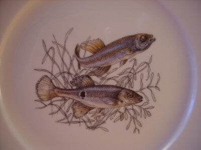 BAVARIA WINTERLING - PIATTO IN PORCELLANA SERIE PESCI #1