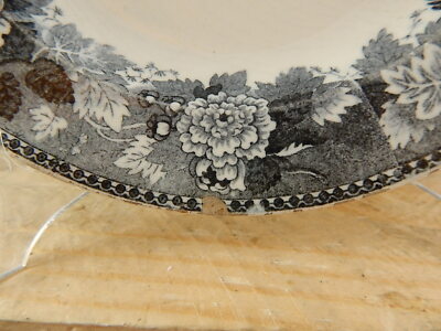 ANTICO 1800 RARO PIATTO CERAMICA WEDGWOOD ROVINE ANTICHE SOTTO IL MONTE AVENTINO