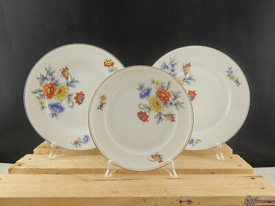 ANTICO SERVIZIO TAVOLA PIATTI PORCELLANA FREIBERG BAVARIA BOUQUET FIORI ESTIVI