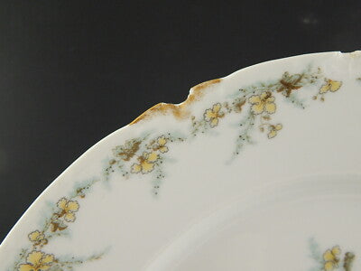 ANTICO PIATTO CM 35 PORCELLANA FORMA AMERICA GINORI DOCCIA ETA' LIBERTY DIFETTO