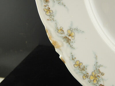 ANTICO PIATTO CM 35 PORCELLANA FORMA AMERICA GINORI DOCCIA ETA' LIBERTY DIFETTO