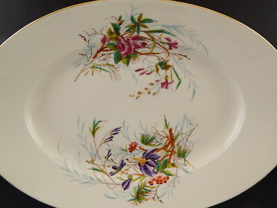 ANTICO 1876 VASSOIO PORCELLANA LIMOGES CHARLES FIELD HAVILAND DIPINTO A MANO