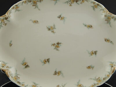 ANTICO PIATTO OVALE VASSOIO PORCELLANA FORMA AMERICA GINORI DOCCIA EPOCA LIBERTY