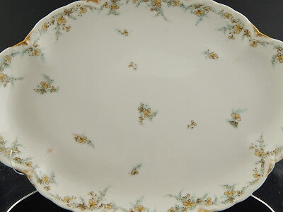 ANTICO PIATTO OVALE VASSOIO PORCELLANA FORMA AMERICA GINORI DOCCIA ETA' LIBERTY