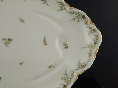 ANTICO RARO VASSOIO ARROSTO PORCELLANA FORMA AMERICA GINORI DOCCIA EPOCA LIBERTY