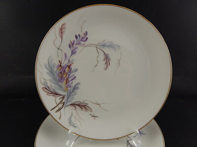 VINTAGE WUNSIEDEL BAVARIA PORCELLANA SERVIZIO TAVOLA 6 PIATTI PIANI DIPINTI MANO