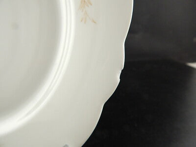 ANTICO SET 8 PIATTI PORCELLANA GINORI DOCCIA LIBERTY F.LLI FINOCCHI ROMA DIFETTI