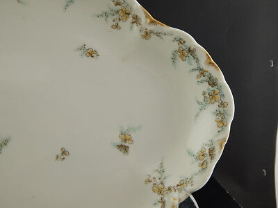 ANTICO PIATTO OVALE VASSOIO PORCELLANA FORMA AMERICA GINORI DOCCIA ETA' LIBERTY