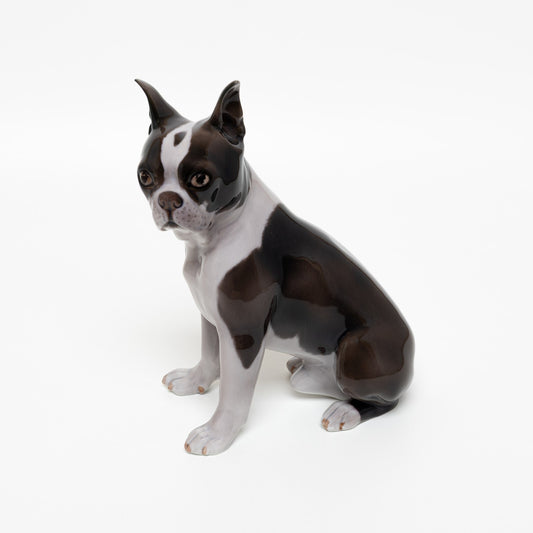 RARA STATUINA PORCELLANA ROYAL COPENHAGEN BING&GRONDAHL "Boston Terrier" 2330