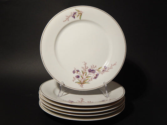 ANTICO HAVILAND LIMOGES SERVIZIO 6 PIATTI TAVOLA PORCELLANA FINE 800 ART NOUVEAU