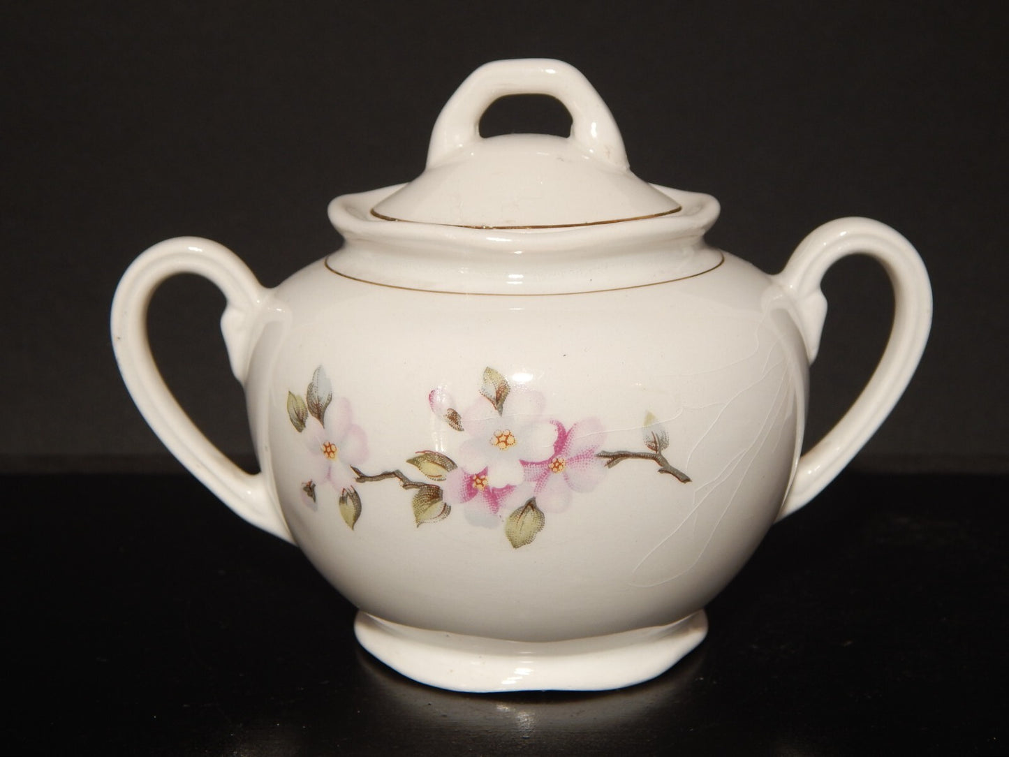 MODERNARIATO SERVIZIO DA TE' SOCIETA' CERAMICA ITALIANA LAVENO FIORI DI PESCO