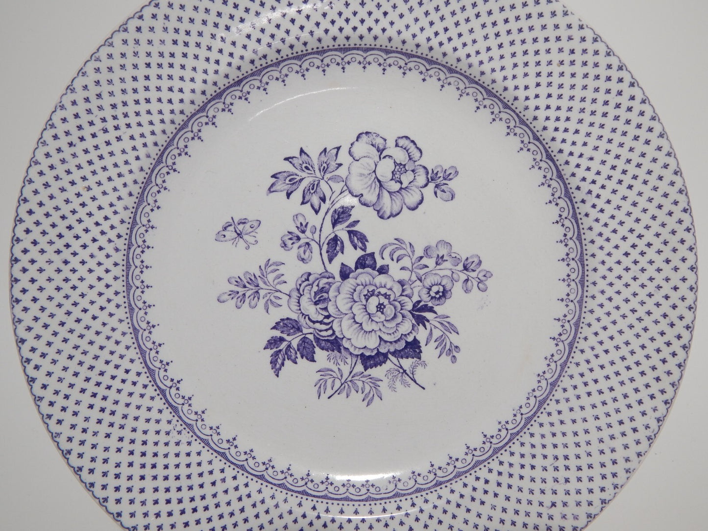 ANTICO RARO PIATTO CERAMICA STAFFORDSHIRE PRIMAVESI DEL 1860 ERMINE BORDER VIOLA