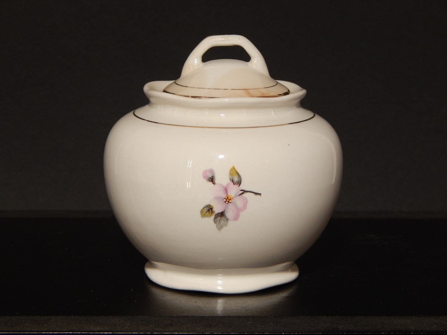 MODERNARIATO ZUCCHERIERA SOCIETA' CERAMICA ITALIANA LAVENO DECORO FIORI DI PESCO