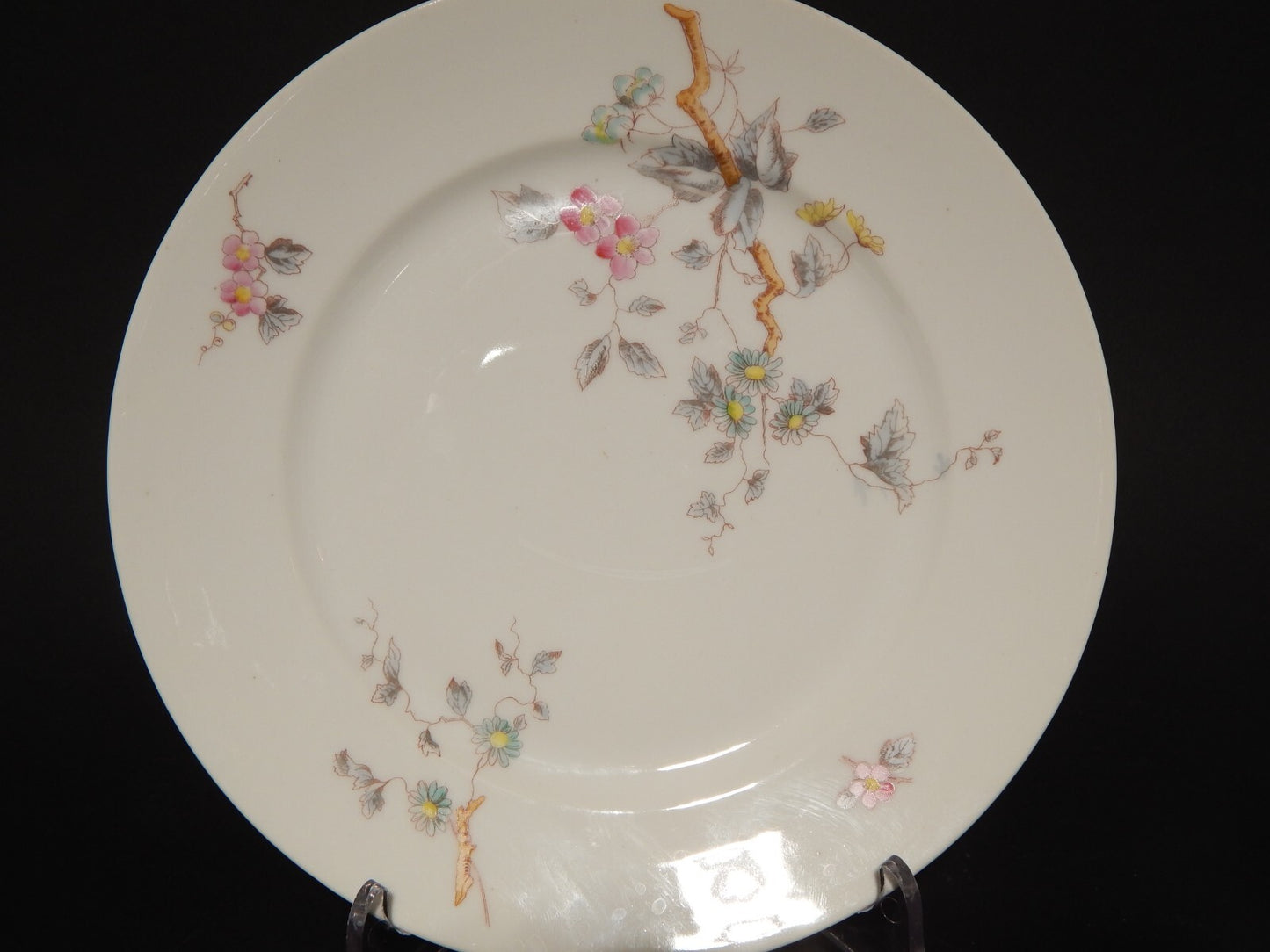 ANTICO RARO SERVIZIO TAVOLA 10 PIATTI PORCELLANA GINORI FINE 800 RAMO FIORITO