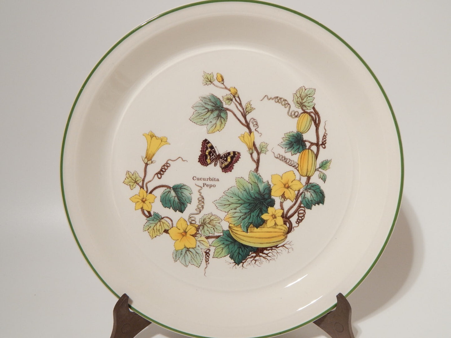 CERAMICA ENOCH WEDGWOOD VINTAGE SERVIZIO 18 PIATTI SERIE BOTANICA FLORABUNDA