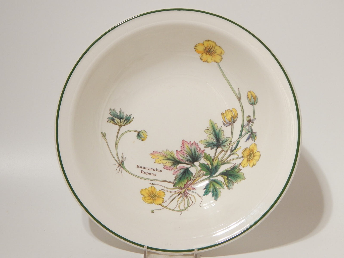 CERAMICA ENOCH WEDGWOOD CIOTOLA INSALATIERA BOTANICA FLORABUNDA RANUNCOLO