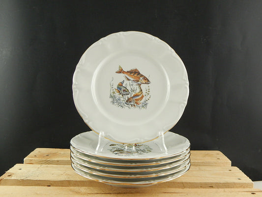 VINTAGE ROCAILLE SERVIZIO 6 PIATTI ROYAL TOGNANA PORCELLANA D’ITALIA PESCI