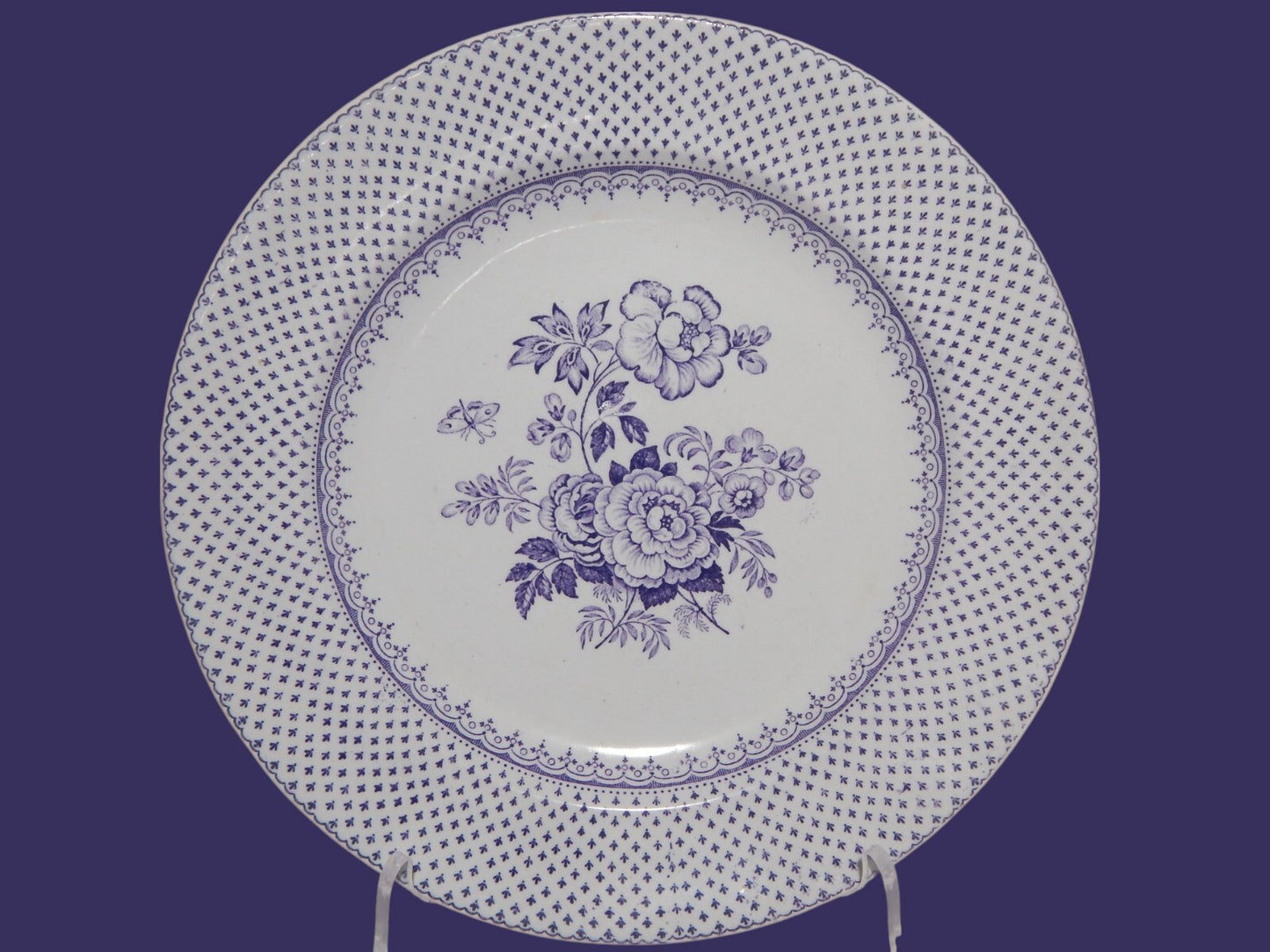 ANTICO RARO PIATTO CERAMICA STAFFORDSHIRE PRIMAVESI DEL 1860 ERMINE BORDER VIOLA