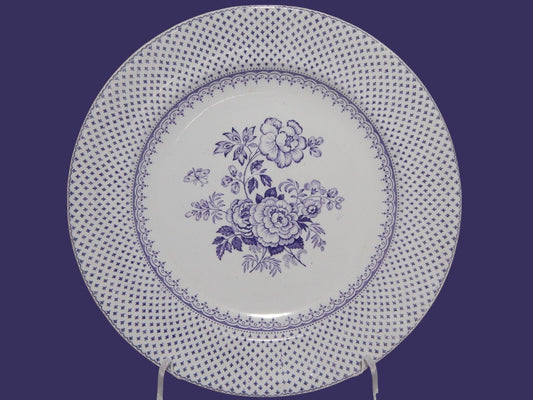 ANTICO RARO PIATTO CERAMICA STAFFORDSHIRE PRIMAVESI DEL 1860 ERMINE BORDER VIOLA