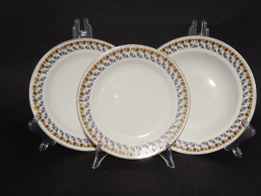 ANTICO RARO SERVIZIO TAVOLA 18 PIATTI S.C.I. CERAMICA ITALIANA LAVENO GIRASOLI