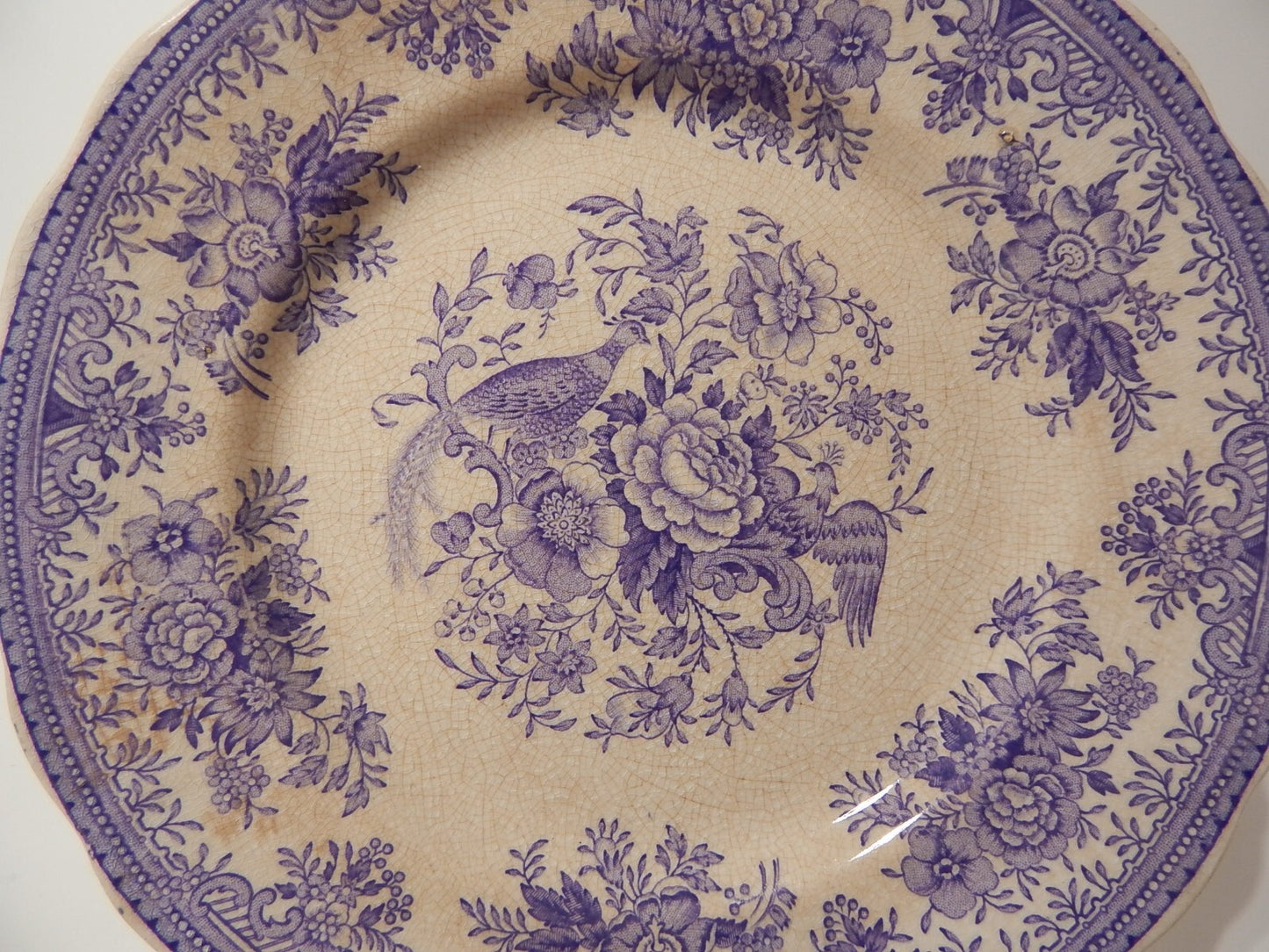 ANTICO RARO PIATTO CERAMICA RORSTRAND DISEGNO ASIATIC PHEASANT VIOLA FINE 1800