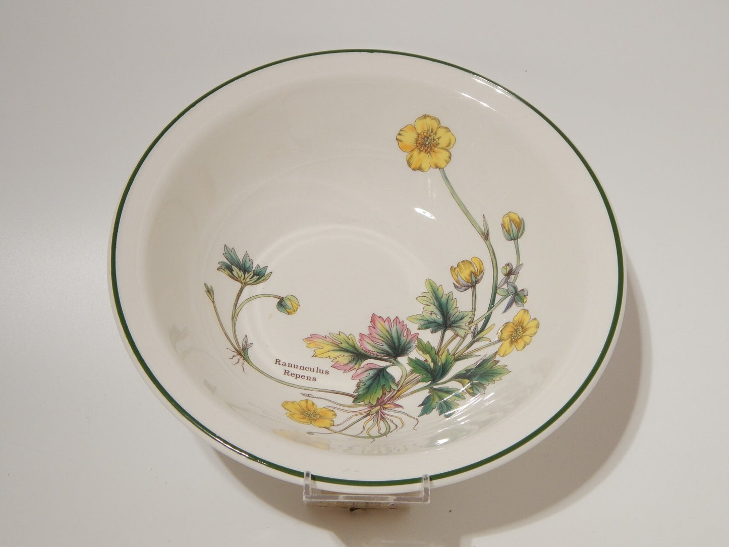 CERAMICA ENOCH WEDGWOOD CIOTOLA INSALATIERA BOTANICA FLORABUNDA RANUNCOLO