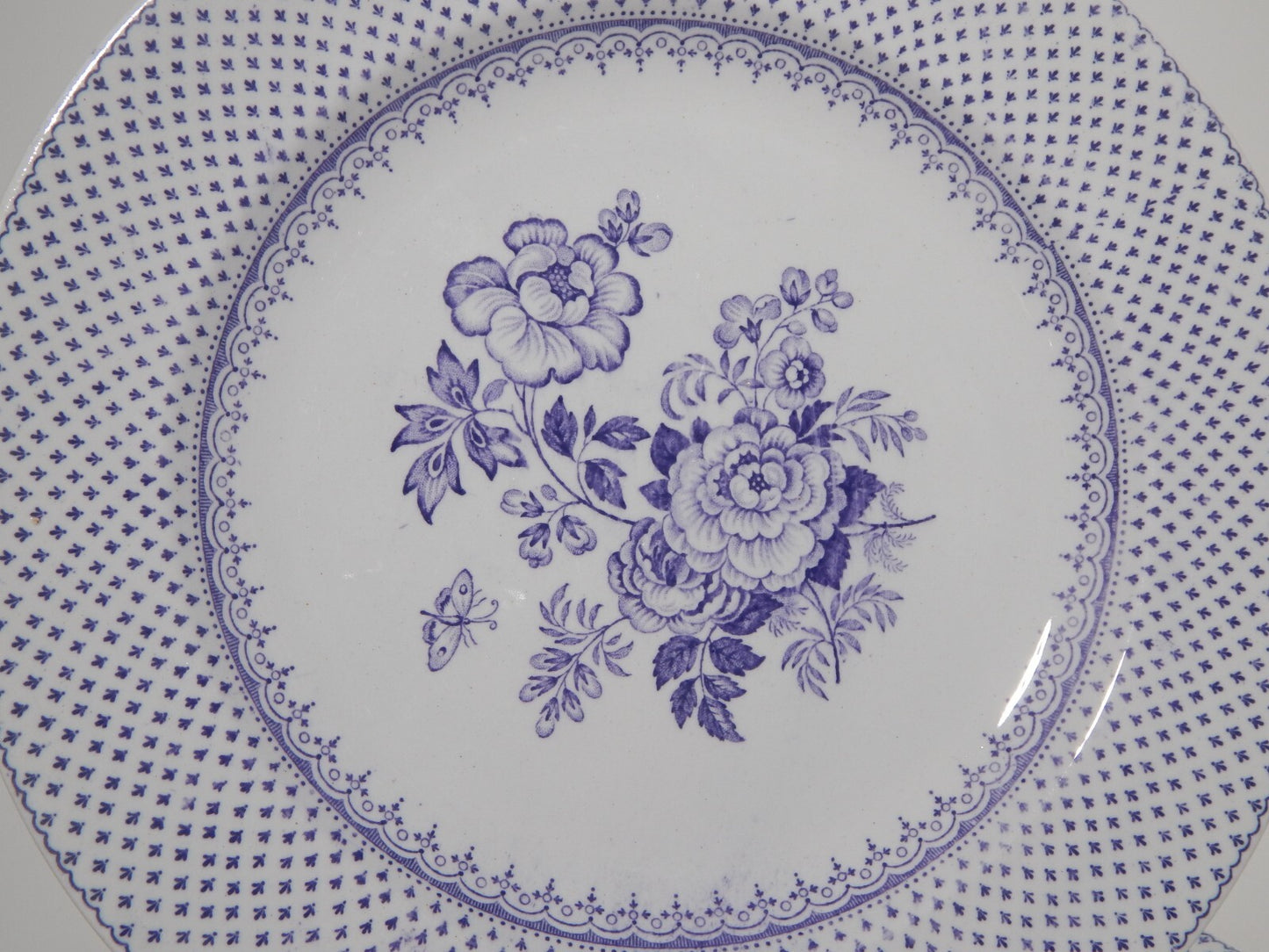 ANTICO SET 6 PIATTI CERAMICA STAFFORDSHIRE PRIMAVESI 1860 ERMINE BORDER VIOLA