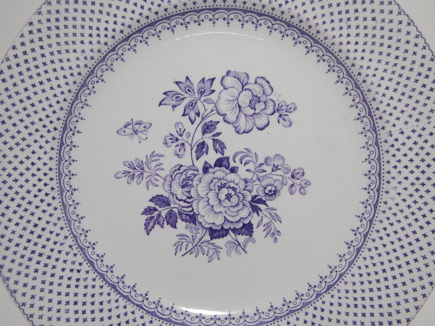ANTICO SET 6 PIATTI CERAMICA STAFFORDSHIRE PRIMAVESI 1860 ERMINE BORDER VIOLA
