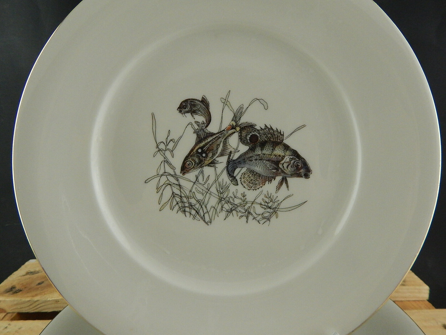 ANTICO SERVIZIO 6 PIATTI WINTERLING BAVARIA PORCELLANA COLLEZIONE PESCI